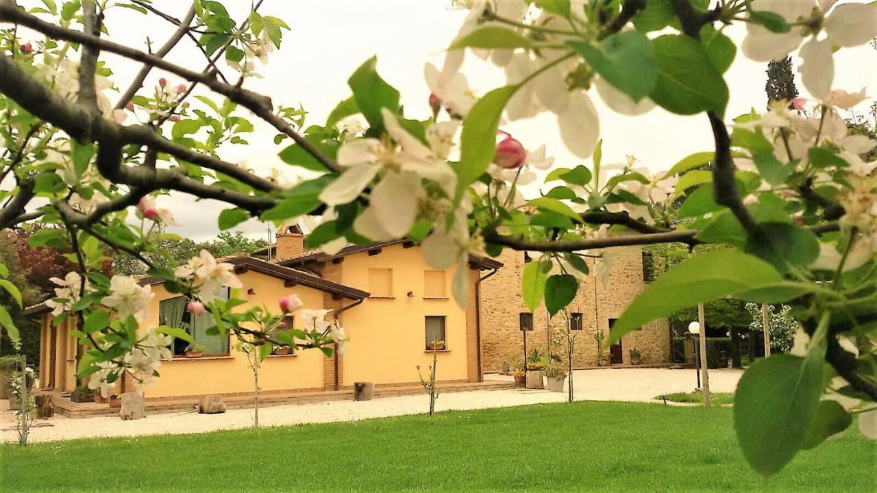 Petrignano Agriturismo Il Podere酒店 外观 照片