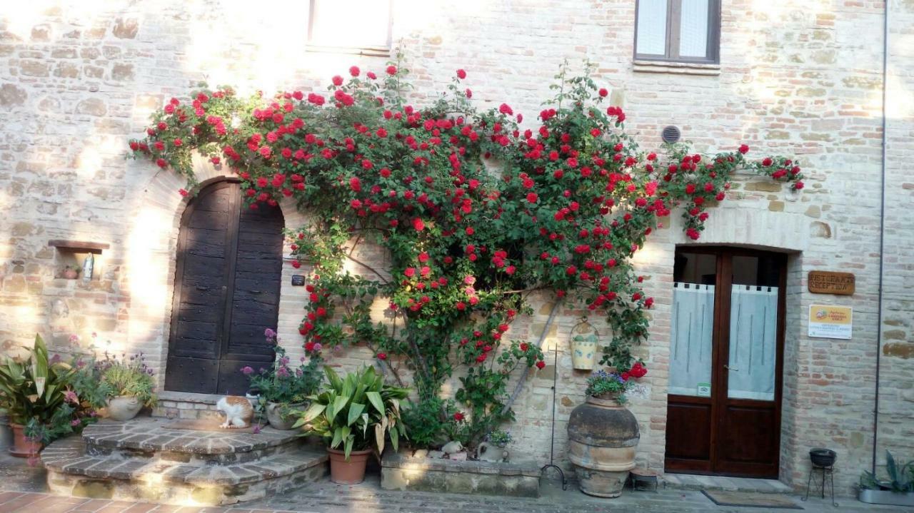 Petrignano Agriturismo Il Podere酒店 外观 照片