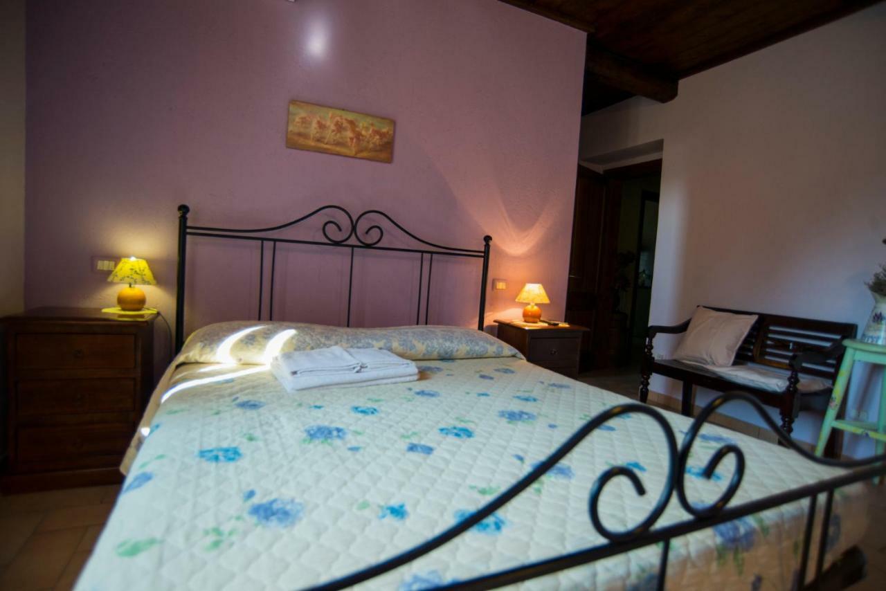 Petrignano Agriturismo Il Podere酒店 外观 照片